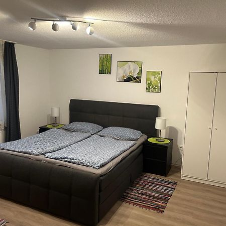 Ferienhaus Ayna, Direkt An Der Schweizer Grenze บัดแซคคิงเงน ภายนอก รูปภาพ